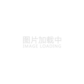 西双版纳网架分条或分块安装法